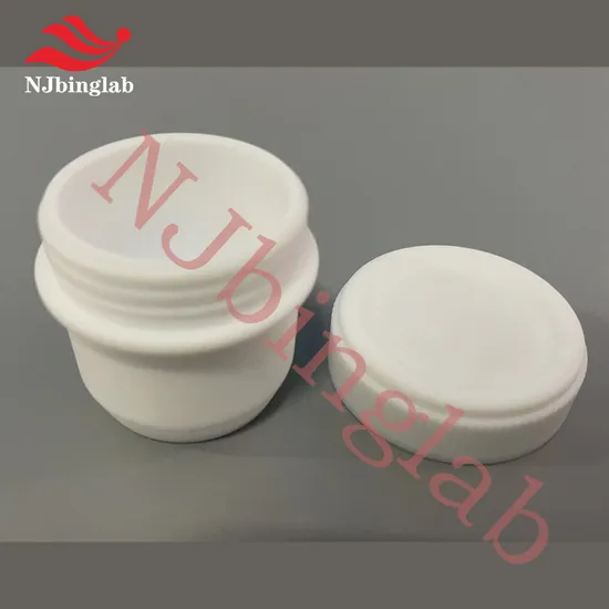 Njbinglab Customized PTFE Container 25ml, Can Hold Platinum Crucible for Reaction Experiment 