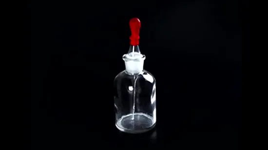 Glass Desiccator with Porcelain Plate with Lid 